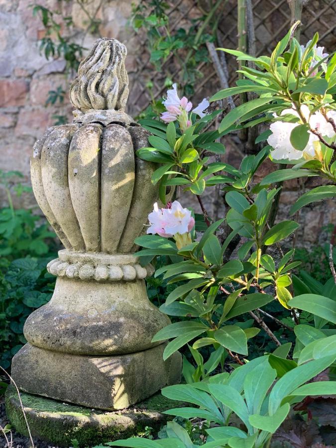 Cote Jardin Bed & Breakfast Sainte-Suzanne  Eksteriør bilde