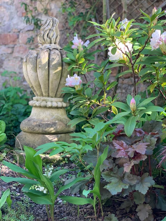 Cote Jardin Bed & Breakfast Sainte-Suzanne  Eksteriør bilde