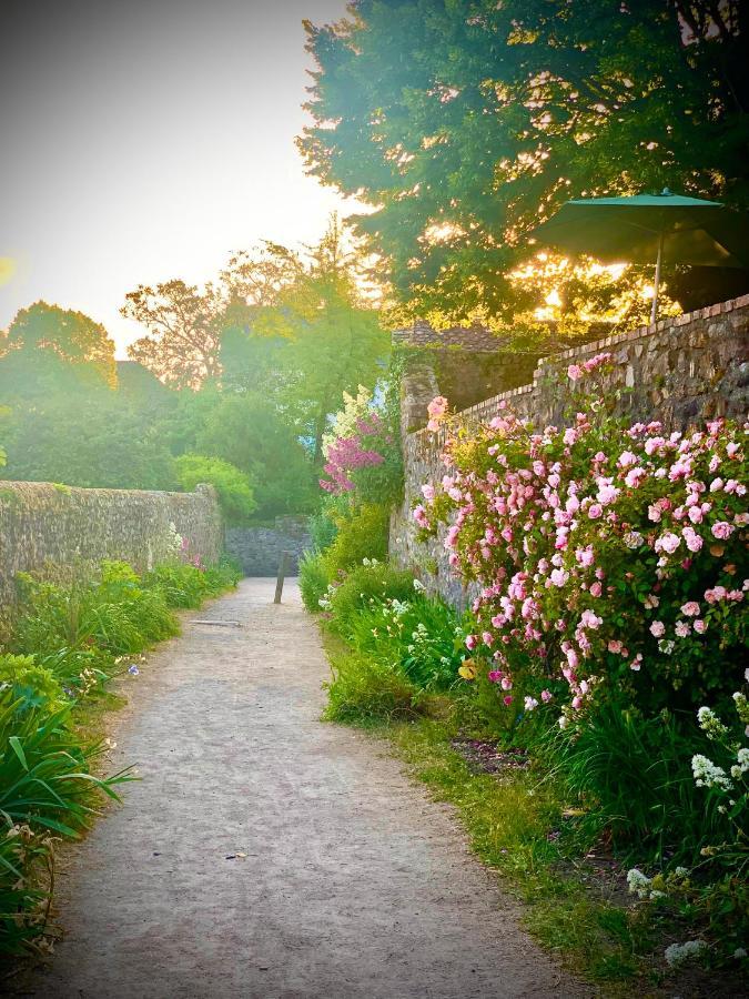 Cote Jardin Bed & Breakfast Sainte-Suzanne  Eksteriør bilde